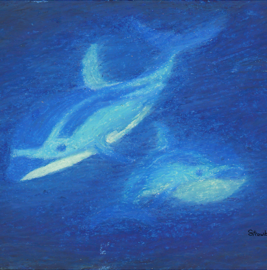 Sample 1: Duo Dolphins